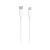 Καλώδιο Xiaomi Regular USB 2.0 Cable USB-C Male - Lightning White 1m (BHR4421GL)